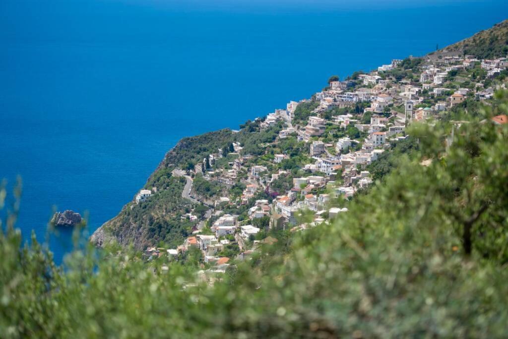 Villa Cimea فوروري المظهر الخارجي الصورة